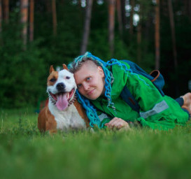 Стаффордширский бультерьер