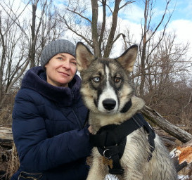 Сибирский хаски