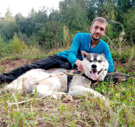 Сибирский хаски