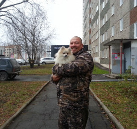 Померанский шпиц